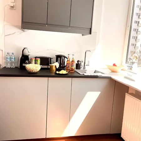 Appartement Special 1 Bed Center Varsovie