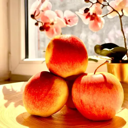 Special 1 Bed Center Апартаменты *